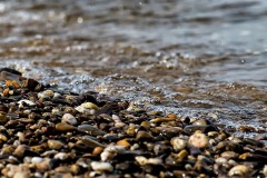 pebbles-coast-river-243910