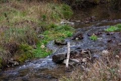 stoneswatershed-004